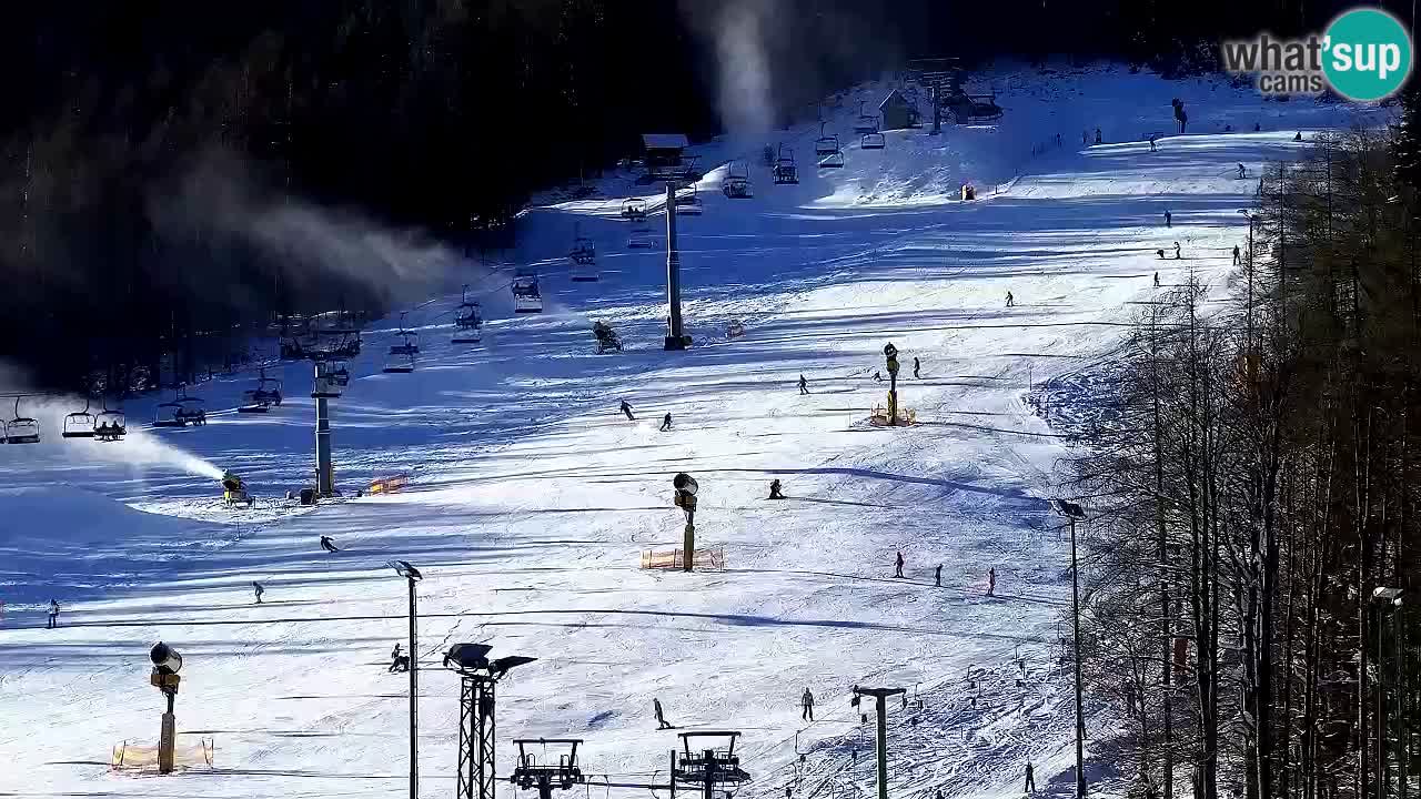 Webcam Kranjska Gora SKI resort | Bech, Kekec, Mojca ski