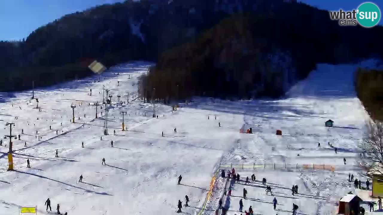 Webcam Kranjska Gora SKI – panoramica Piste centrali