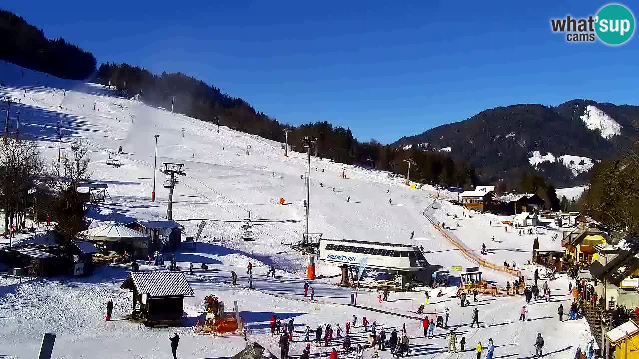 Webcam Kranjska Gora SKI – panoramica Piste centrali