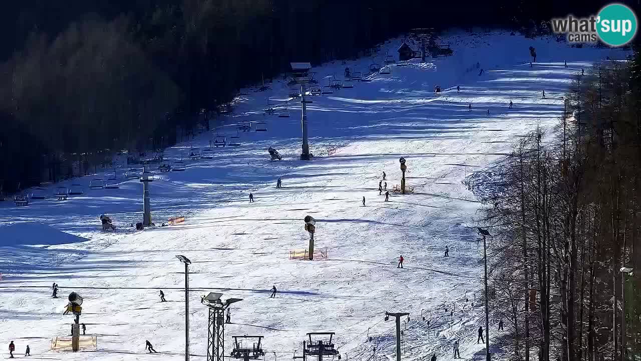 Webcam Kranjska Gora SKI – panoramica Piste centrali