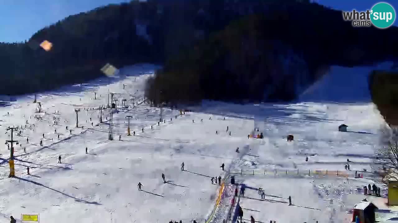 Webcam Kranjska Gora SKI – panoramica Piste centrali