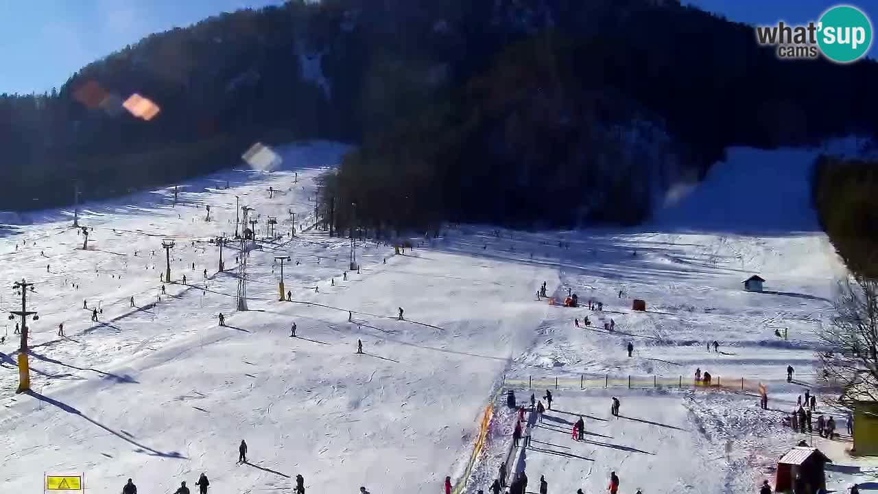 Webcam Kranjska Gora SKI – panoramica Piste centrali