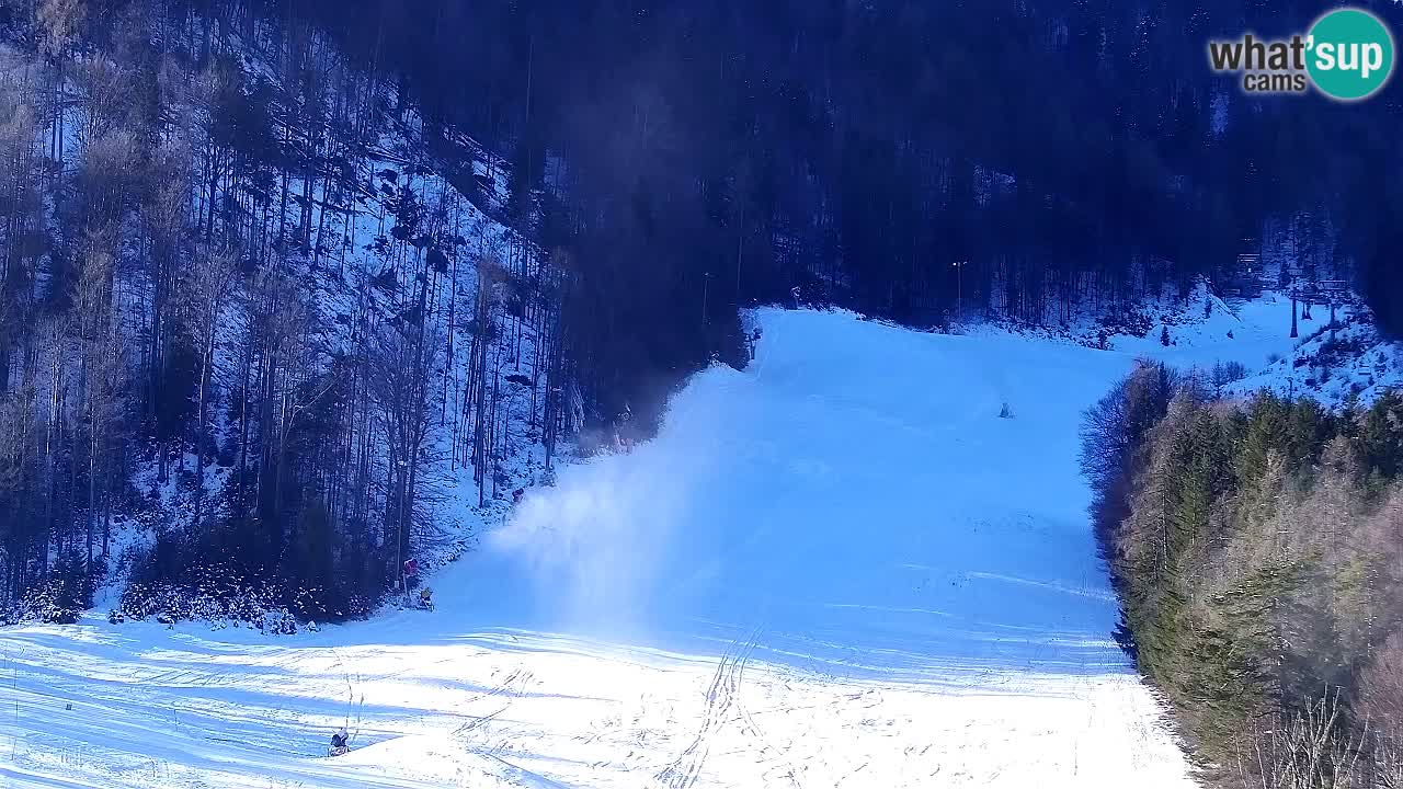 Webcam Kranjska Gora SKI – panoramica Piste centrali