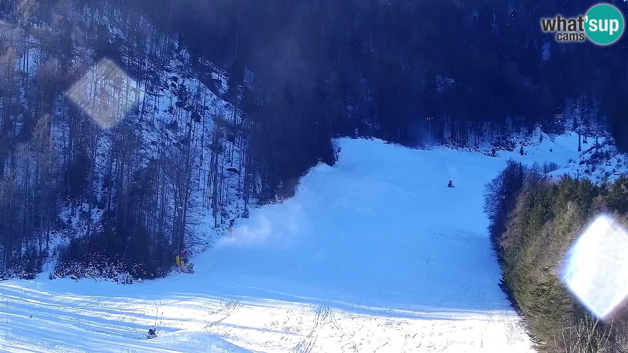 Kamera Kranjska Gora | Plaža in proge Kekec in Mojca