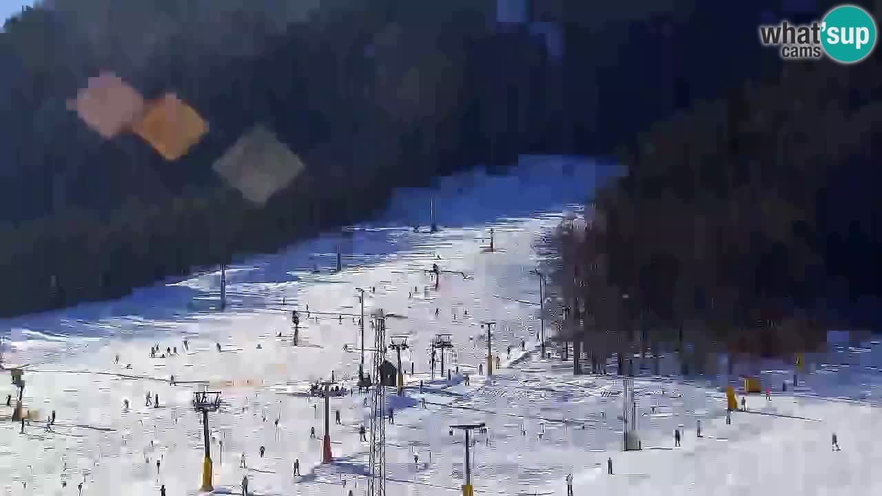 Webcam Kranjska Gora SKI – panoramica Piste centrali