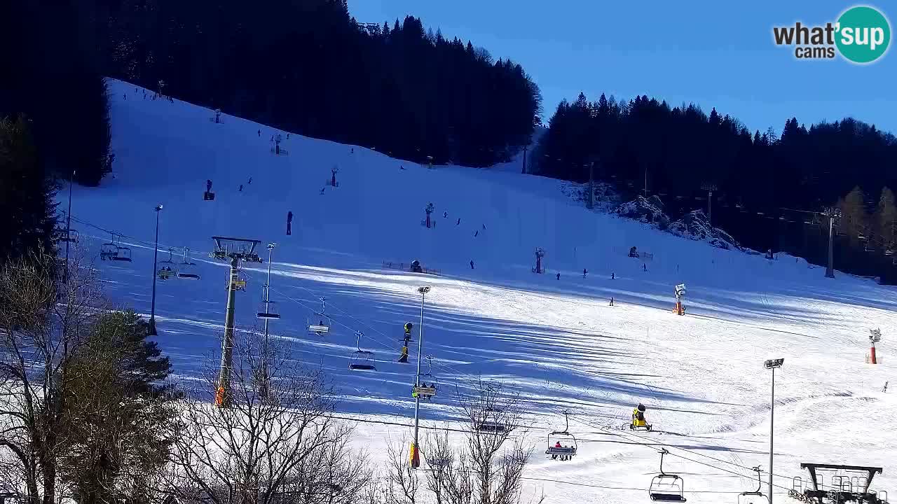 Webcam Kranjska Gora SKI – panoramica Piste centrali