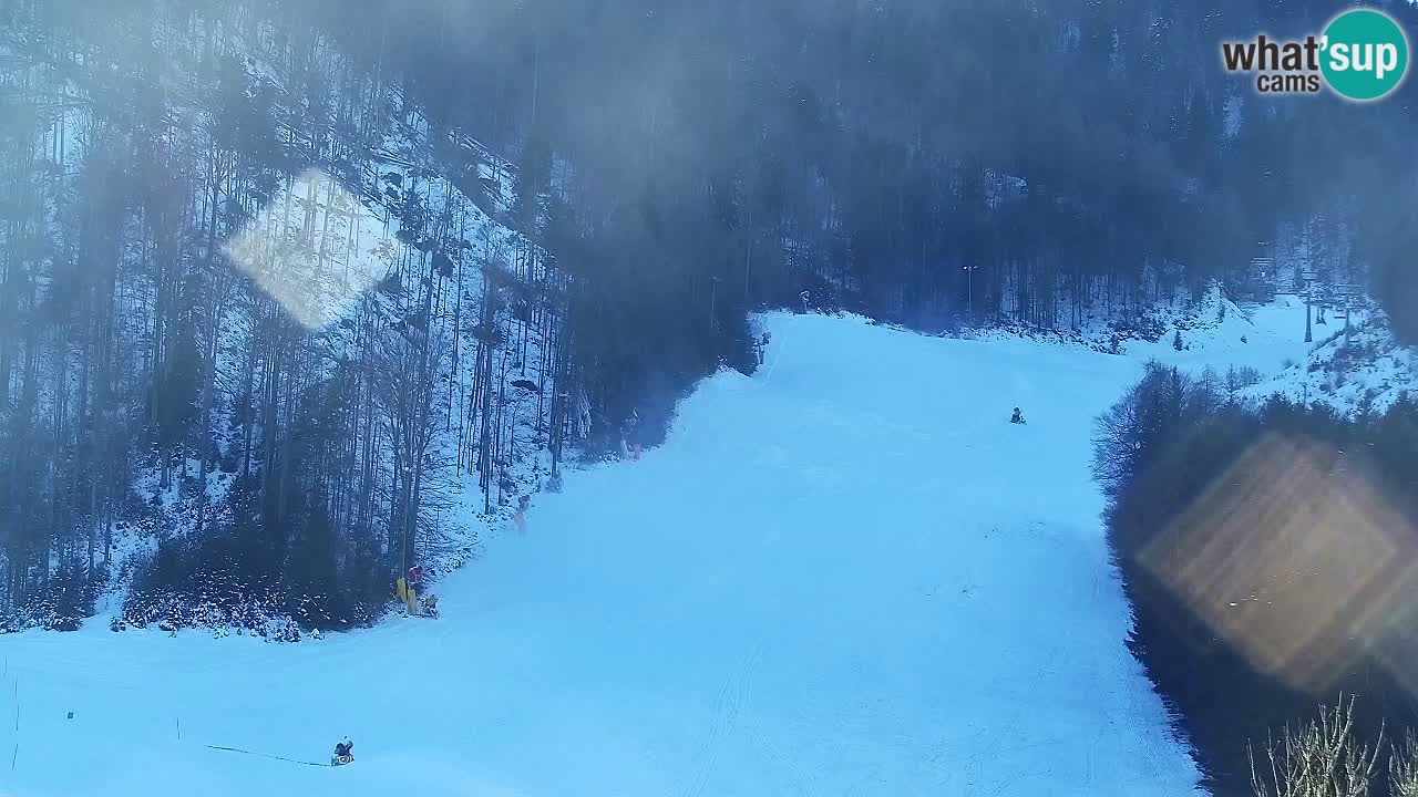 Webcam Kranjska Gora SKI – panoramica Piste centrali