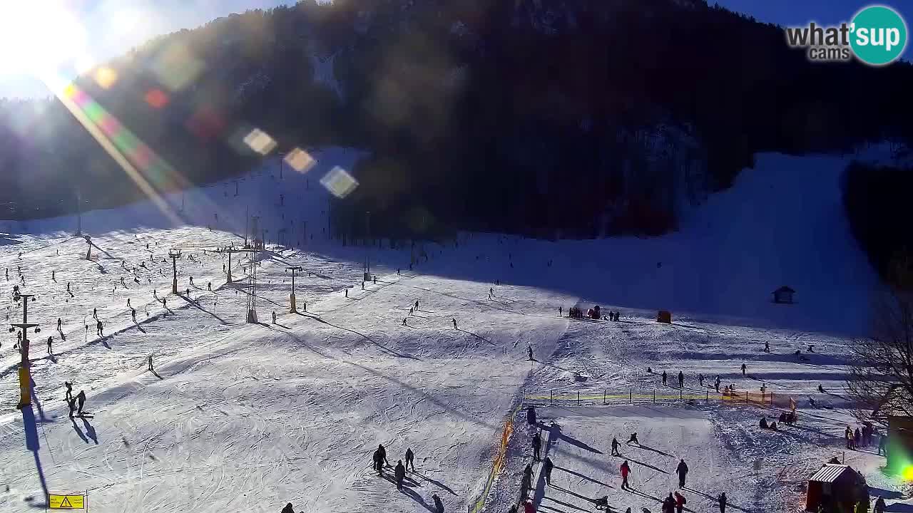 Webcam Kranjska Gora SKI – panoramica Piste centrali