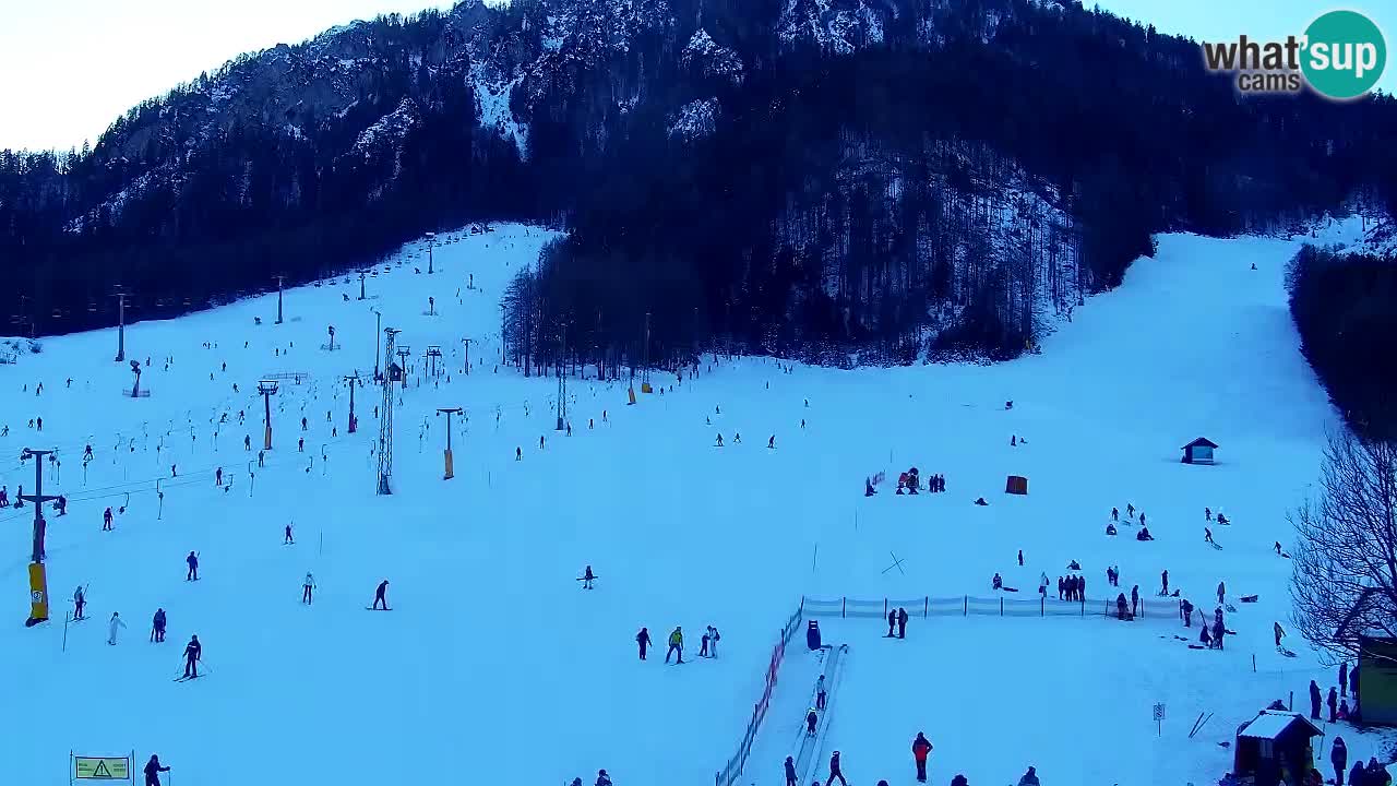 Webcam Kranjska Gora SKI resort | Bech, Kekec, Mojca ski