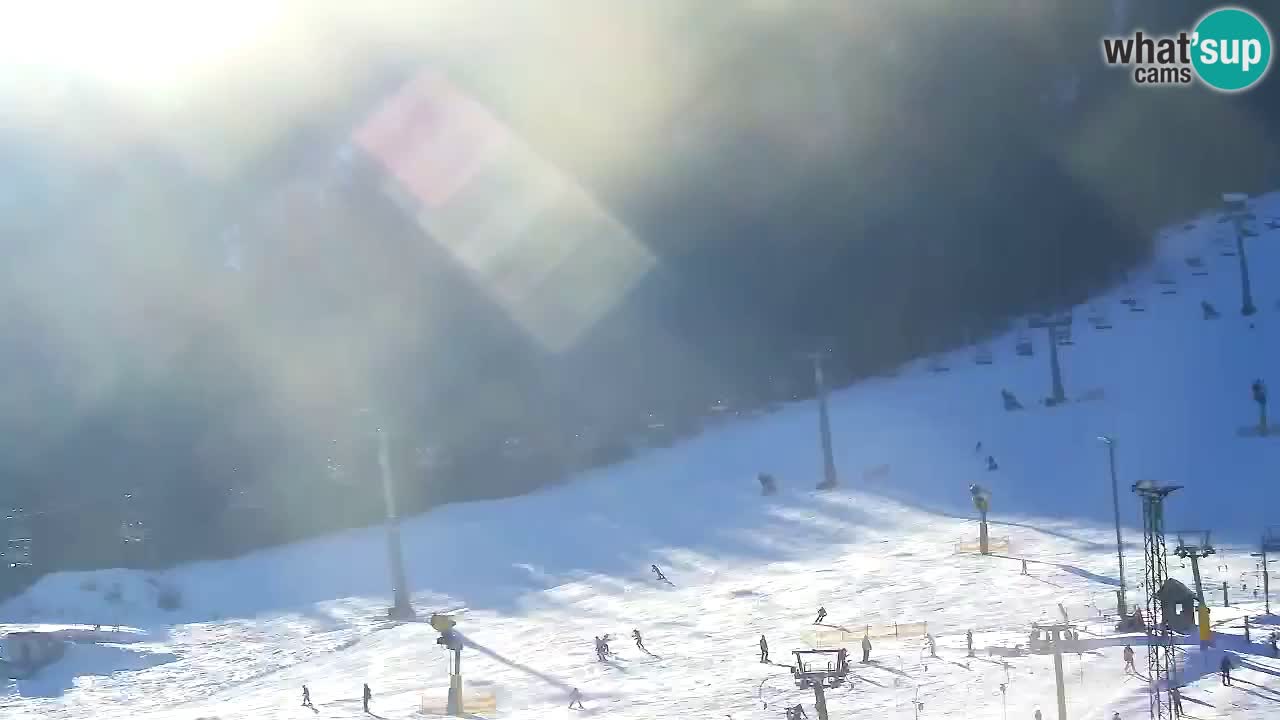 Webcam Kranjska Gora SKI resort | Bech, Kekec, Mojca ski