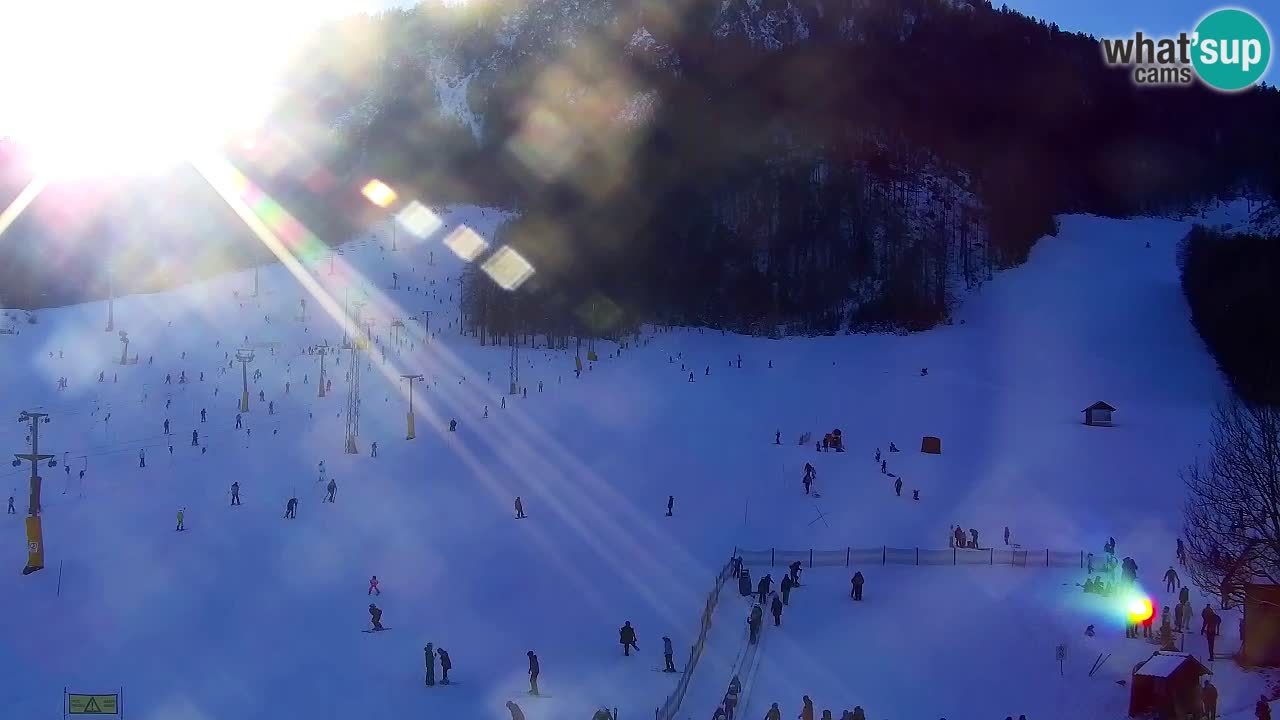 Webcam Kranjska Gora SKI resort | Bech, Kekec, Mojca ski