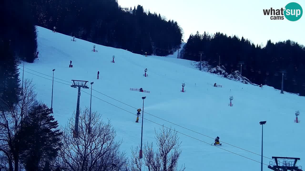 Webcam Kranjska Gora SKI resort | Bech, Kekec, Mojca ski