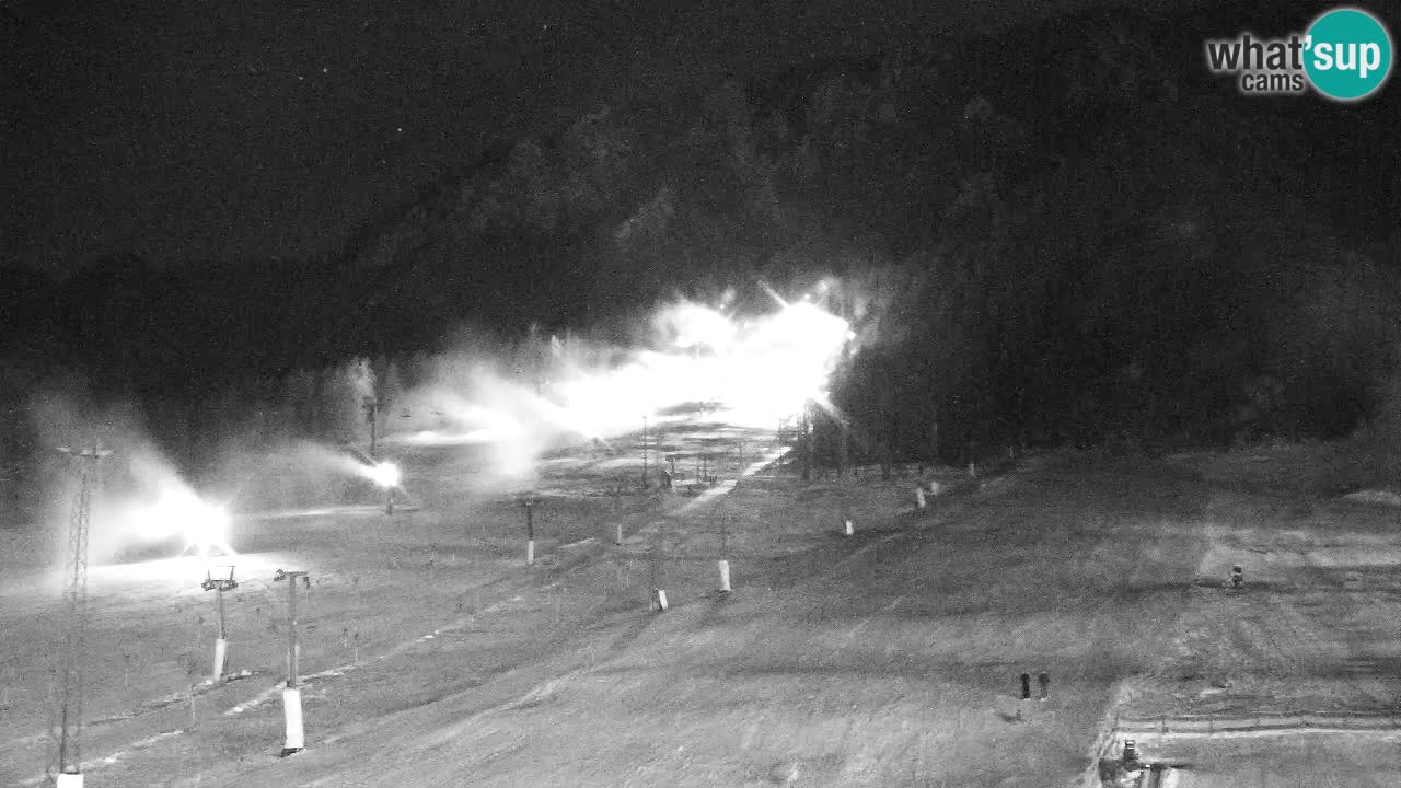 Webcam Kranjska Gora SKI – panoramica Piste centrali