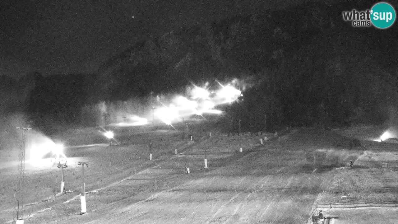 Webcam Kranjska Gora SKI – panoramica Piste centrali