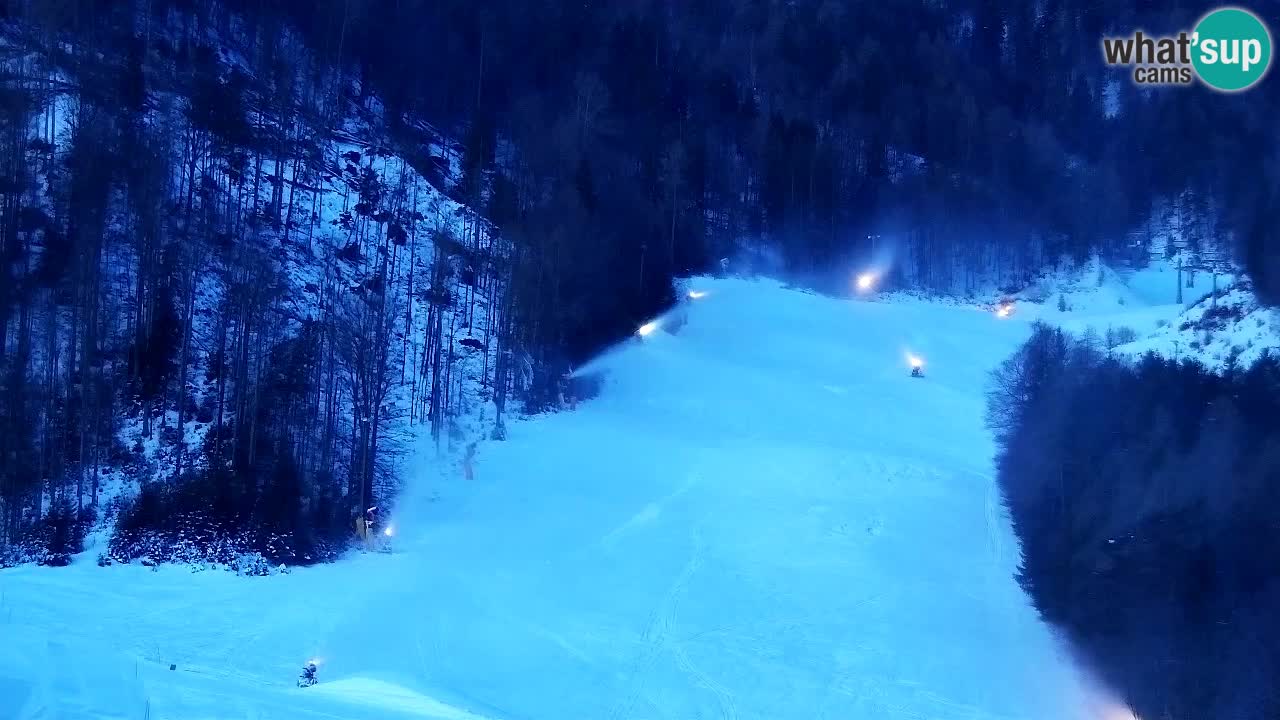 Webcam Kranjska Gora SKI resort | Bech, Kekec, Mojca ski