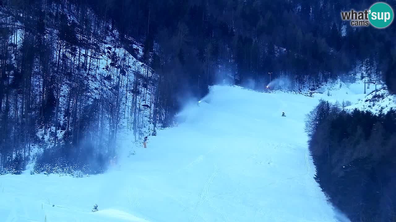 Webcam Kranjska Gora SKI resort | Bech, Kekec, Mojca ski