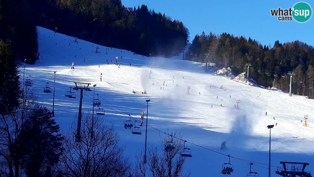 Webcam Kranjska Gora SKI resort | Bech, Kekec, Mojca ski