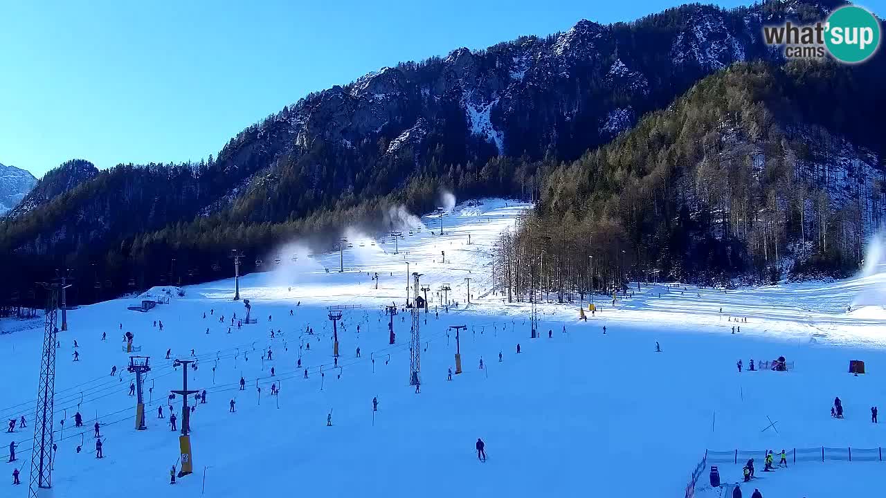 Webcam Kranjska Gora SKI – panoramica Piste centrali