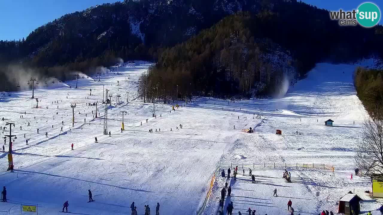 Webcam Kranjska Gora SKI resort | Bech, Kekec, Mojca ski