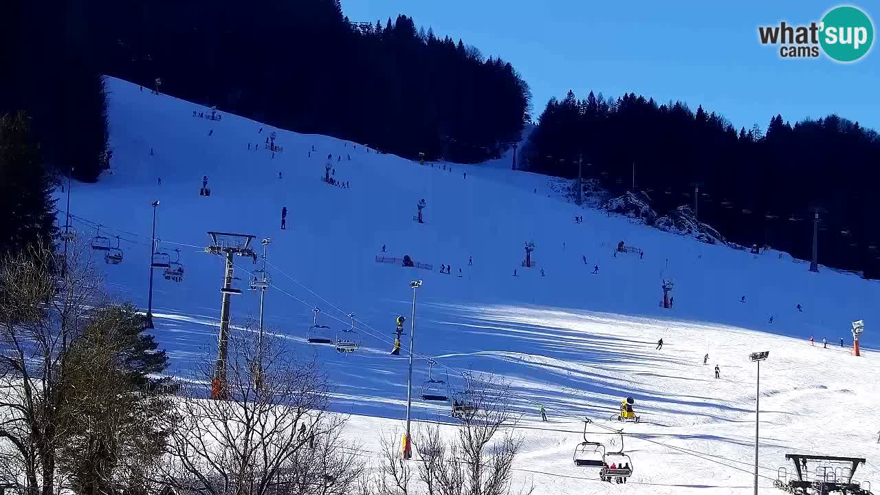 Webcam Kranjska Gora SKI resort | Bech, Kekec, Mojca ski