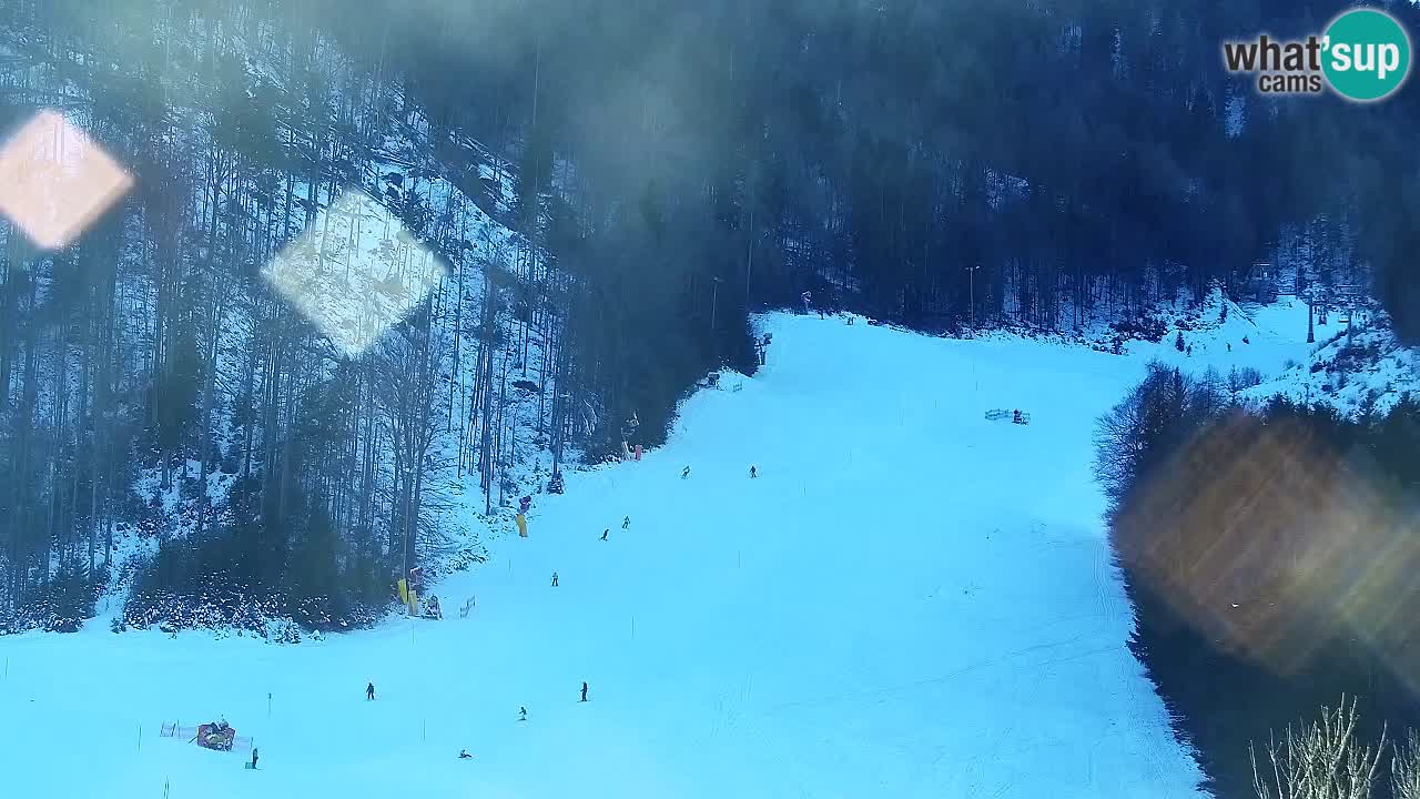 Webcam Kranjska Gora SKI resort | Bech, Kekec, Mojca ski