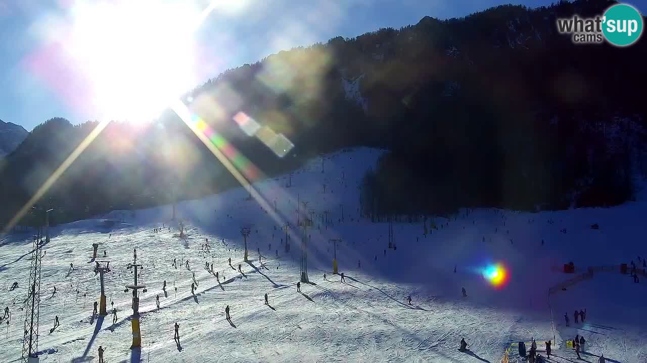 Webcam Kranjska Gora SKI – panoramica Piste centrali