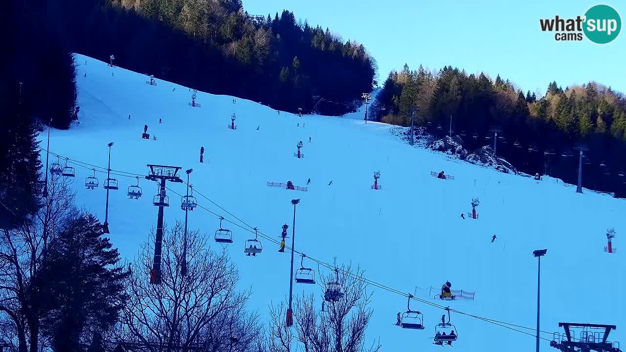 Spletna kamera Smučišče Kranjska Gora