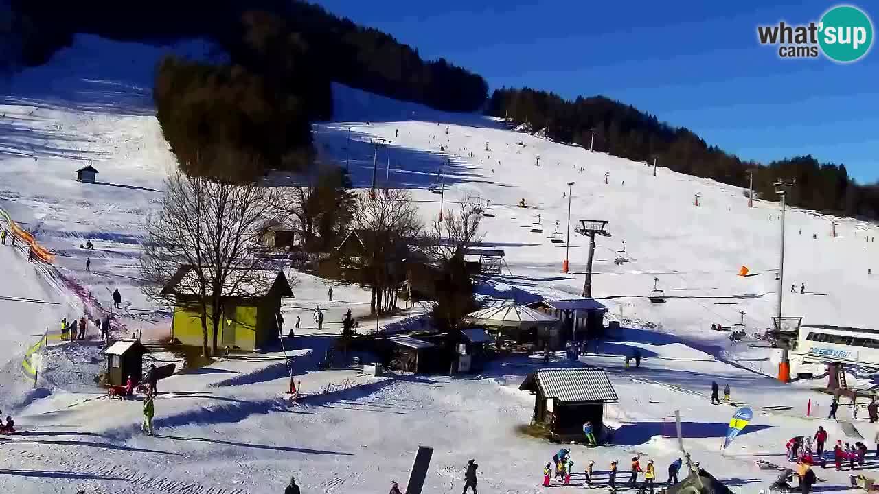 Webcam Station de ski Kranjska Gora – Slovénie