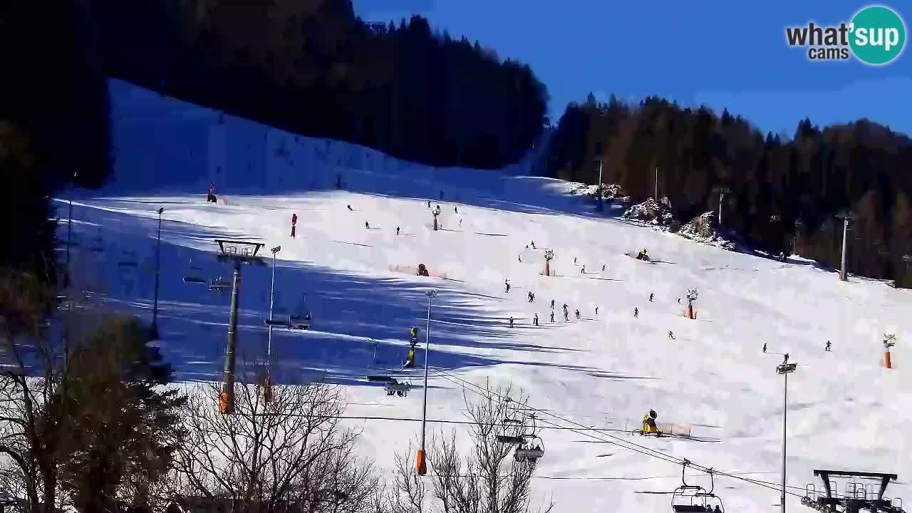 Webcam Ski resort Kranjska Gora – Slovenia