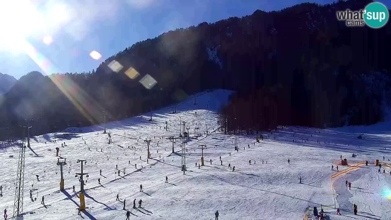 Webcam Ski resort Kranjska Gora – Slovenia