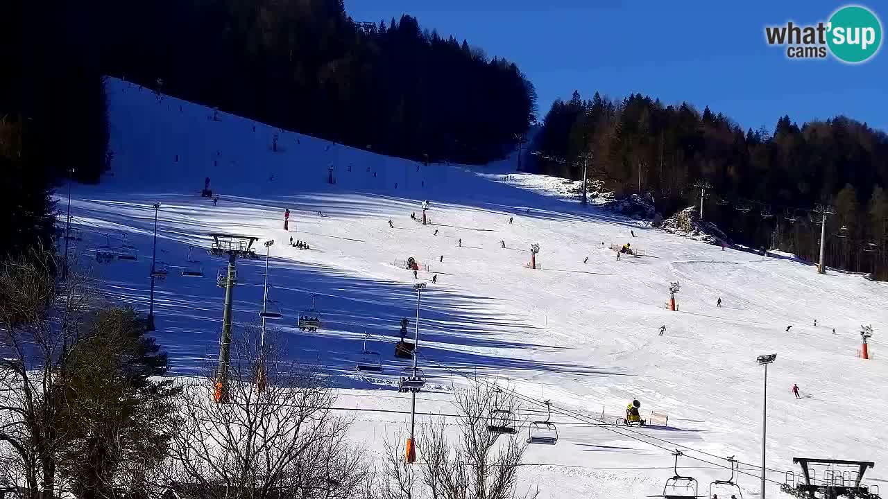 Webcam Station de ski Kranjska Gora – Slovénie