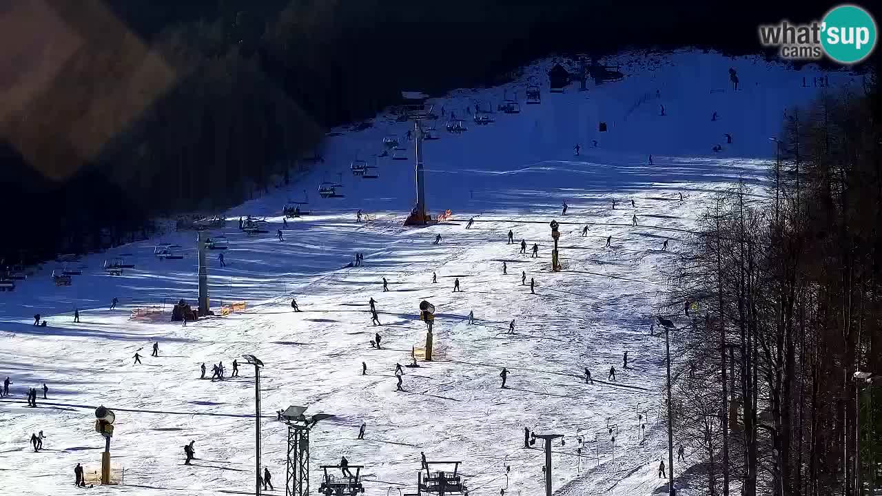 Webcam Kranjska Gora SKI resort | Bech, Kekec, Mojca ski