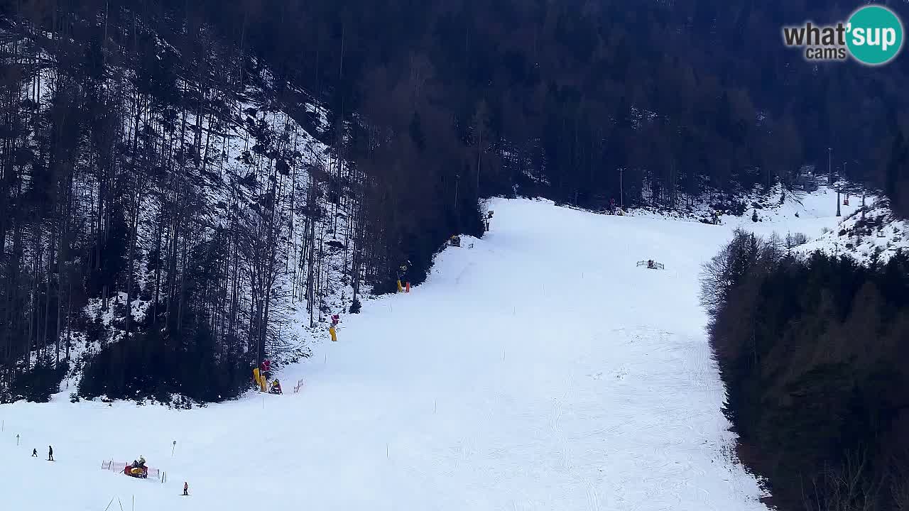 Webcam Station de ski Kranjska Gora – Slovénie