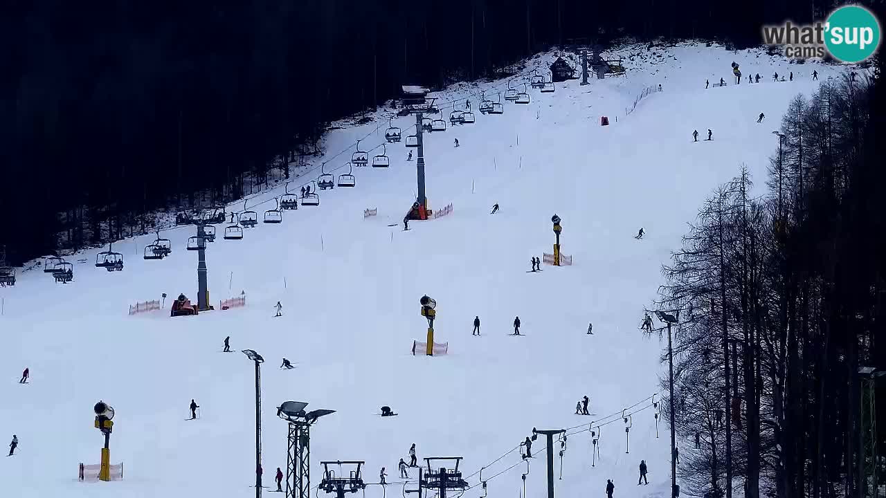 Spletna kamera Smučišče Kranjska Gora