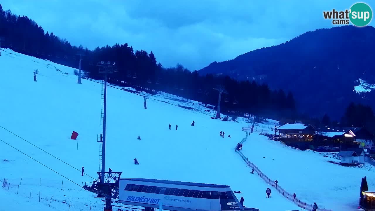 Webcam Kranjska Gora SKI – panoramica Piste centrali