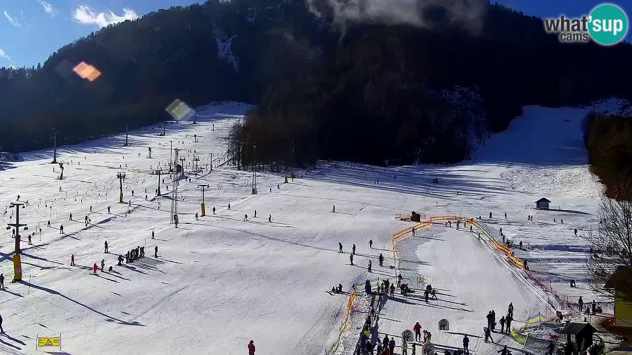 Webcam Kranjska Gora SKI resort | Bech, Kekec, Mojca ski