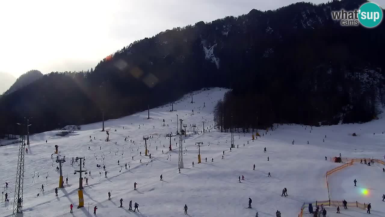 Webcam Station de ski Kranjska Gora – Slovénie