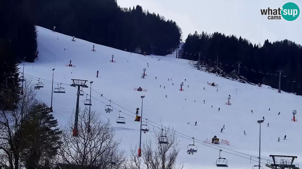 Webcam Station de ski Kranjska Gora – Slovénie