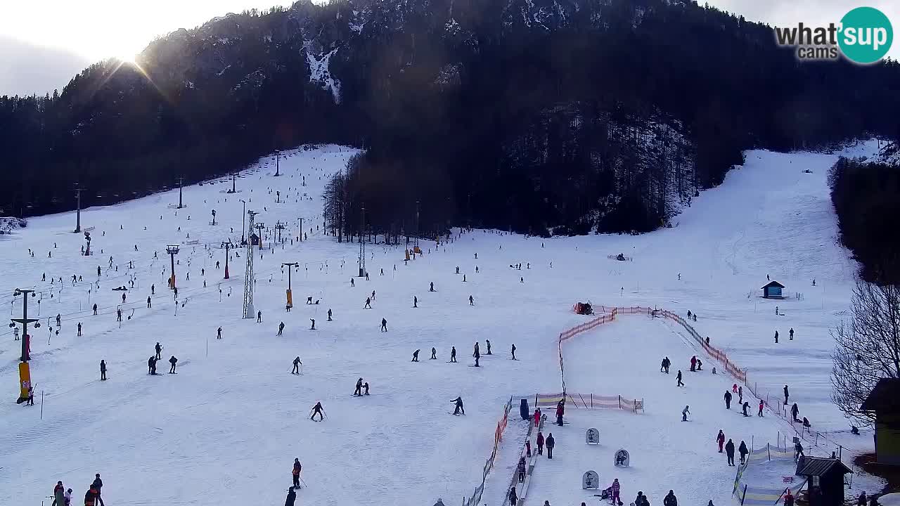 Webcam Station de ski Kranjska Gora – Slovénie