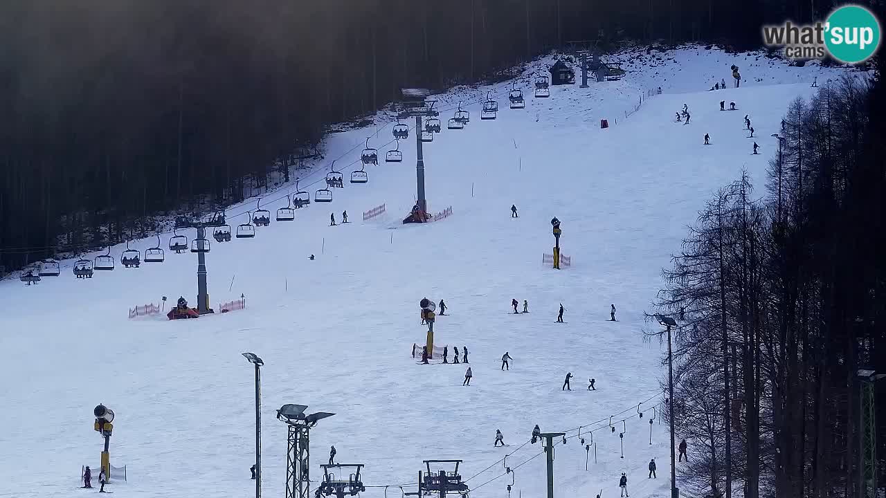 Webcam Skigebiet Kranjska Gora – Slowenien