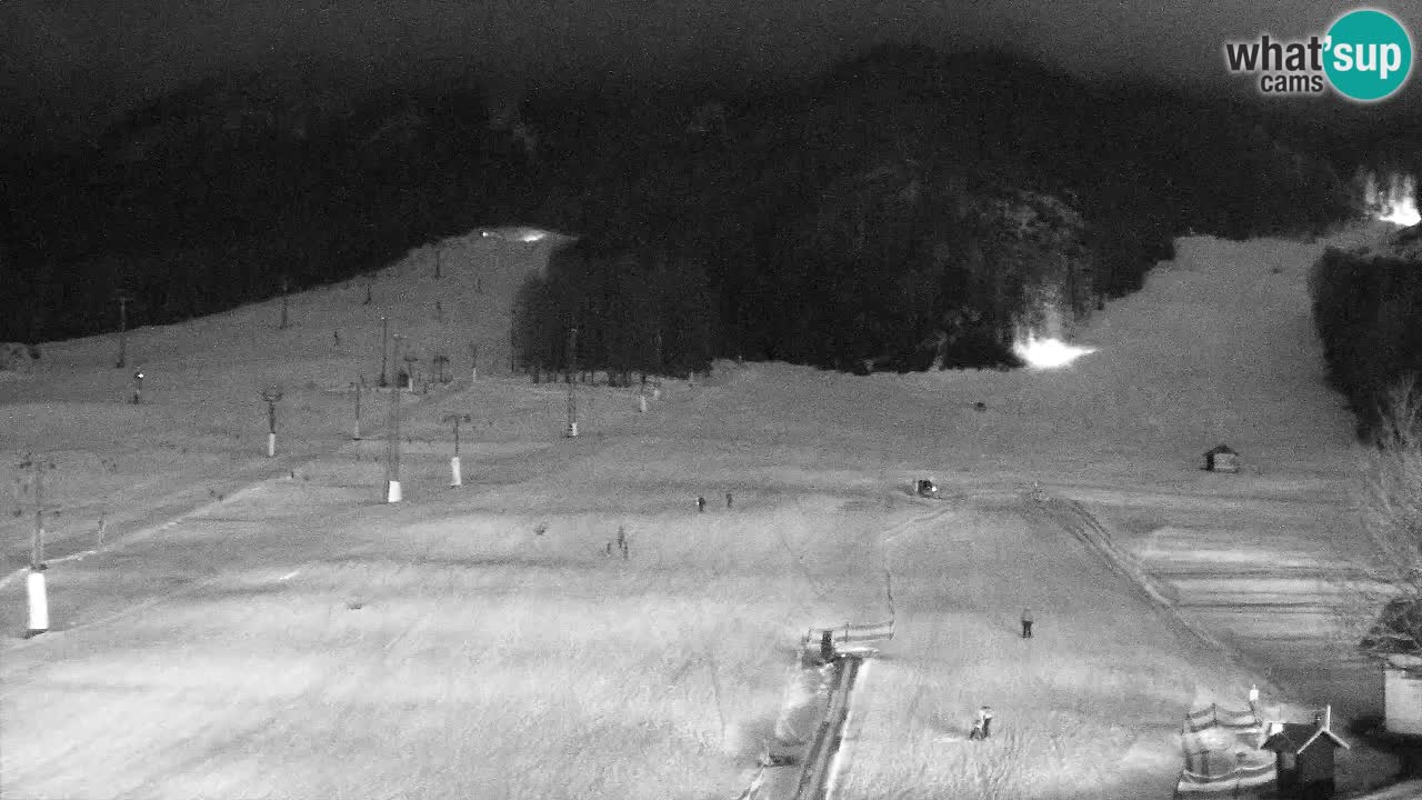 Webcam Station de ski Kranjska Gora – Slovénie