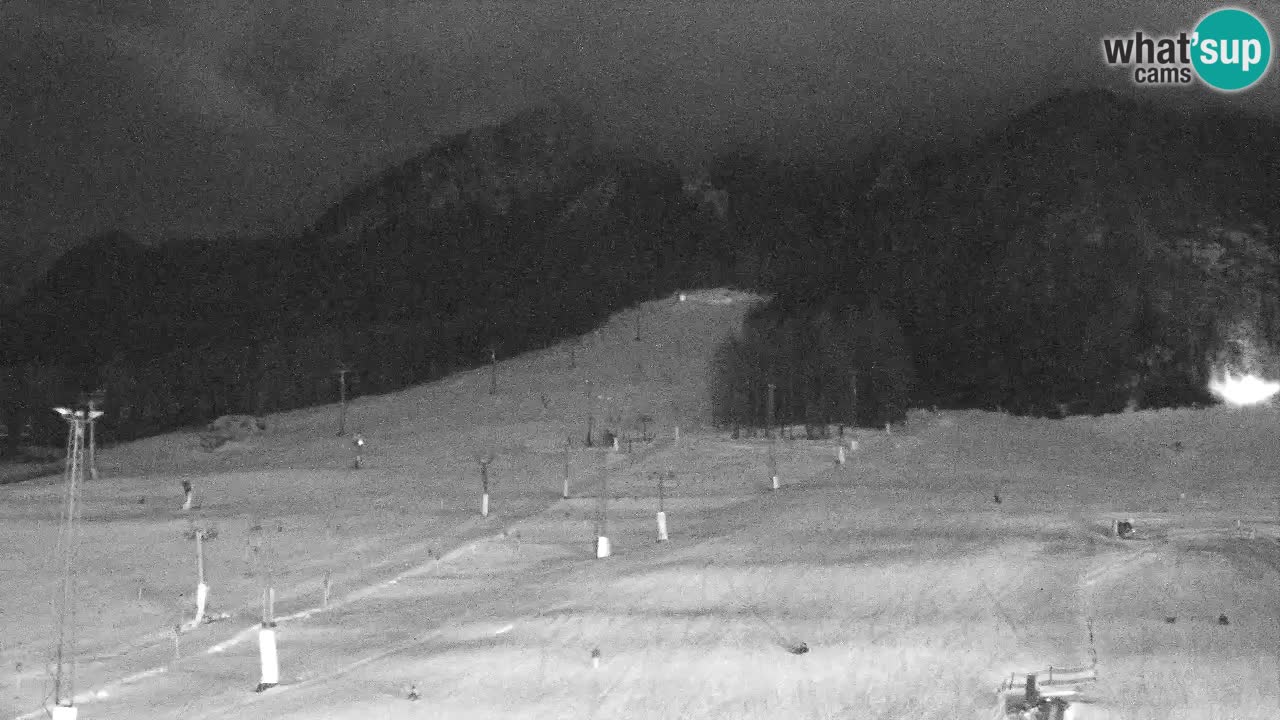 Webcam Kranjska Gora SKI – panoramica Piste centrali