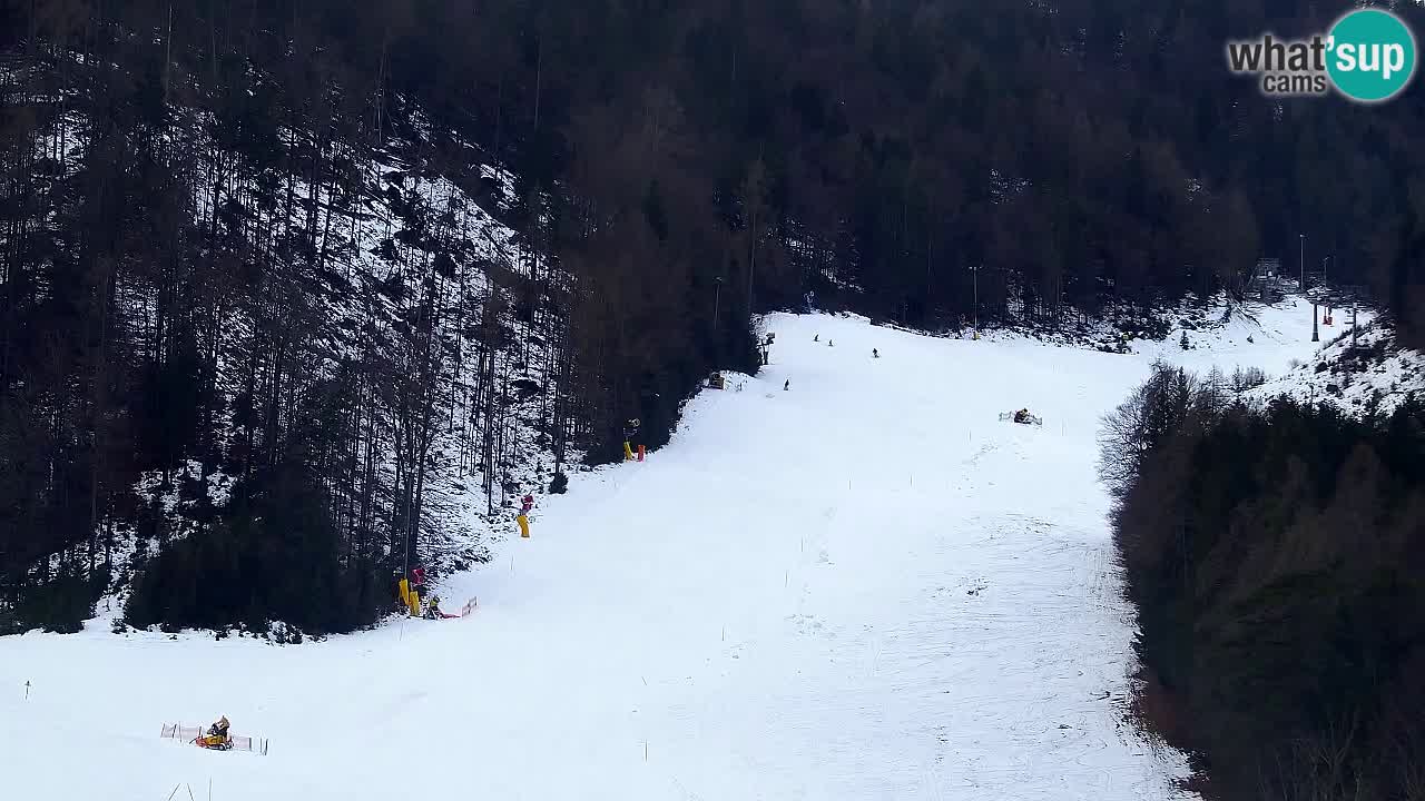 Webcam Kranjska Gora SKI resort | Bech, Kekec, Mojca ski