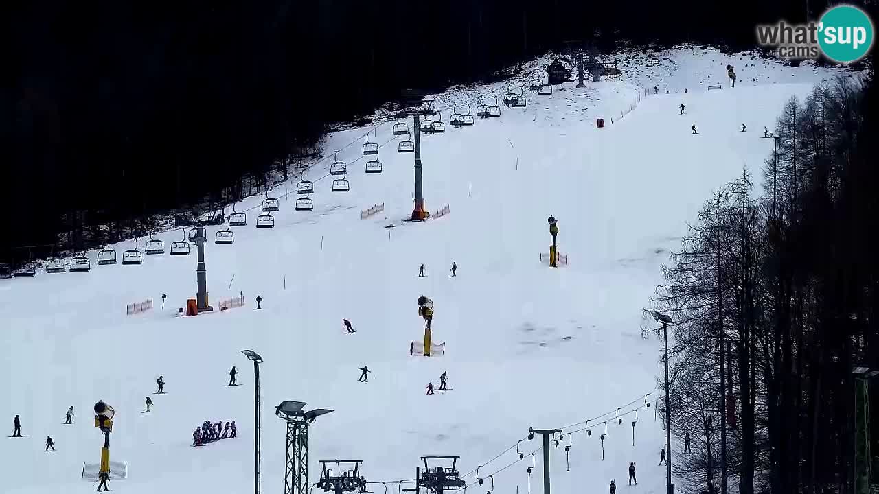 Webcam Station de ski Kranjska Gora – Slovénie