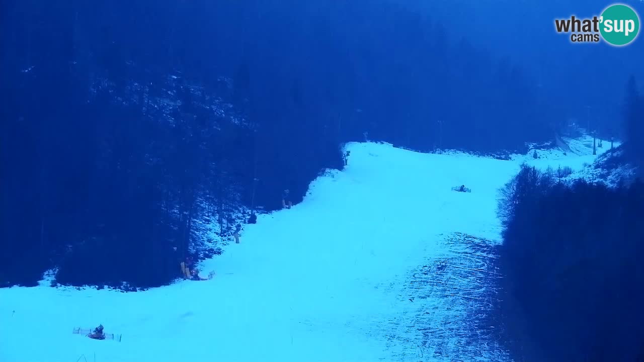 Webcam Kranjska Gora SKI resort | Bech, Kekec, Mojca ski