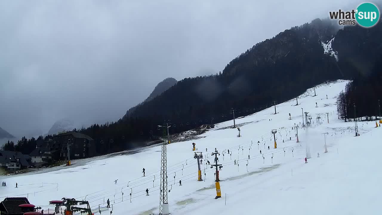 Spletna kamera Smučišče Kranjska Gora