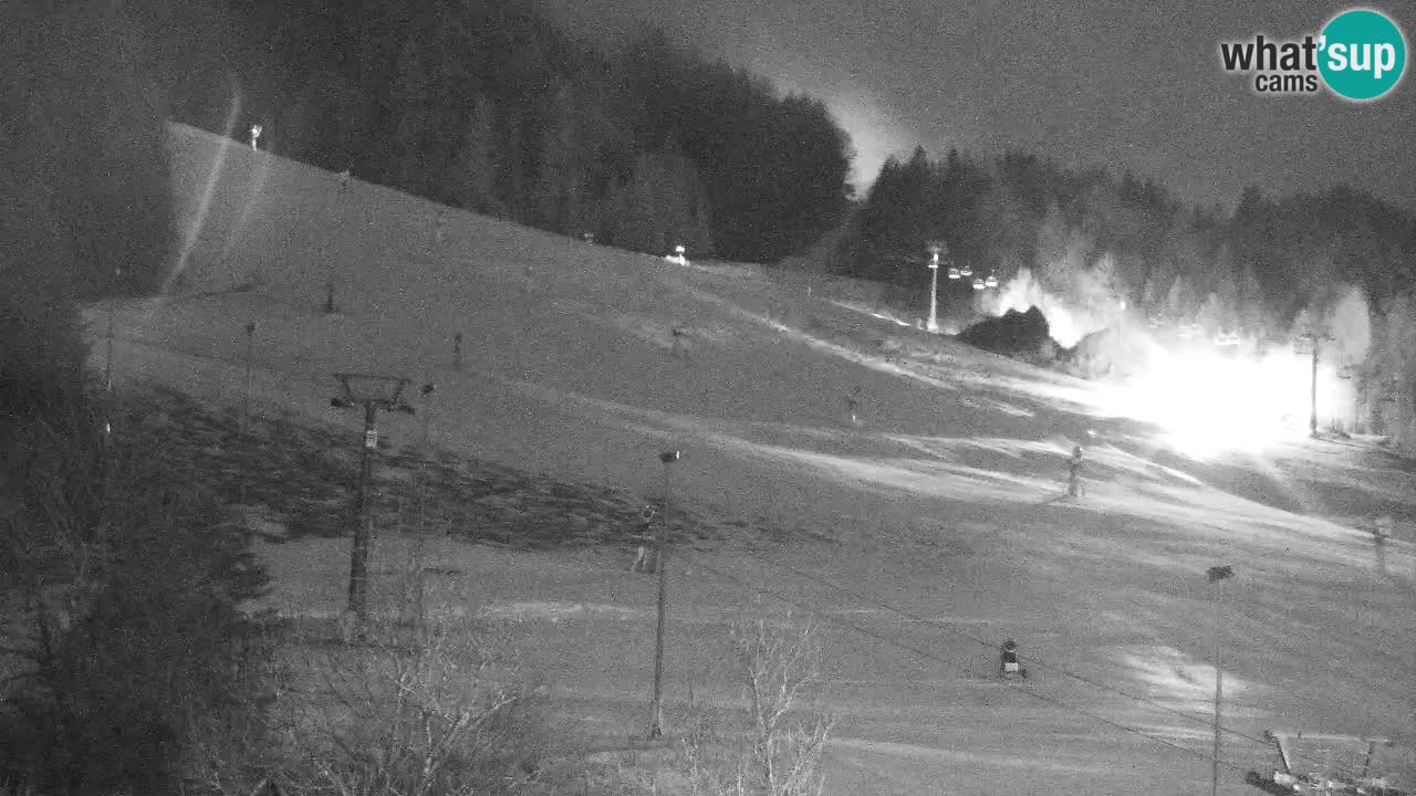 Webcam Kranjska Gora SKI resort | Bech, Kekec, Mojca ski