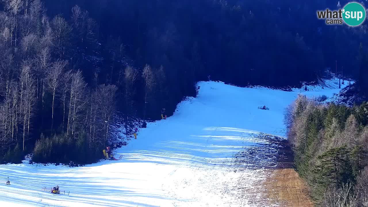 Kamera Kranjska Gora | Plaža in proge Kekec in Mojca