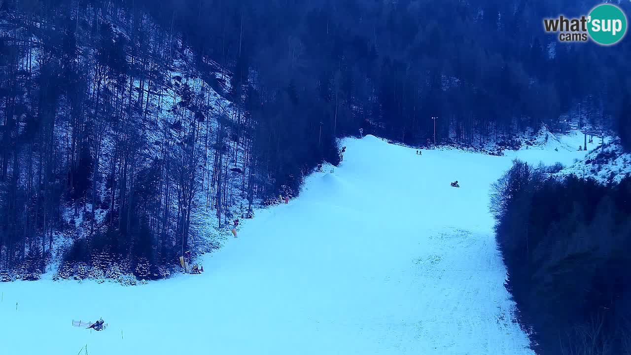 Webcam Kranjska Gora SKI resort | Bech, Kekec, Mojca ski