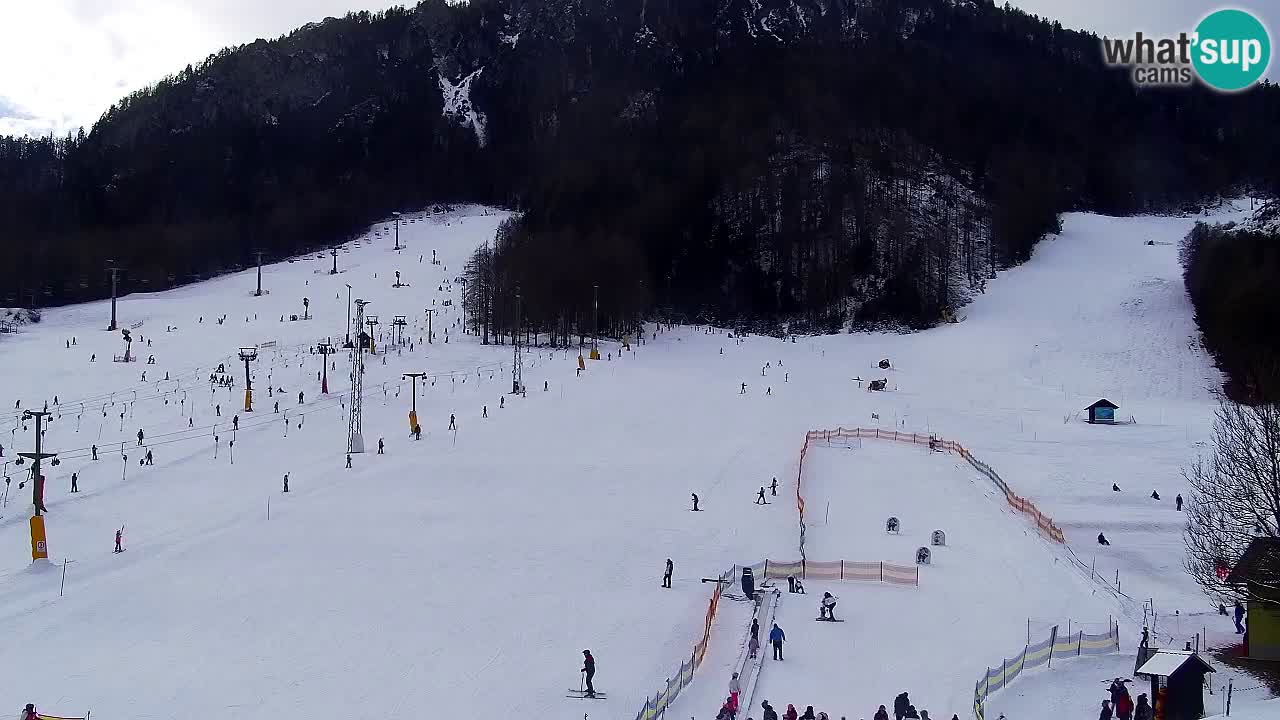 Webcam Kranjska Gora SKI resort | Bech, Kekec, Mojca ski